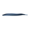 Berkley Gulp Saltwater Sand Eel  5  Silver Mud 1121693